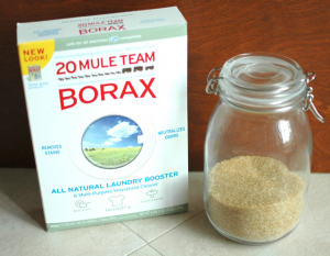 DIY ant killer recipe
