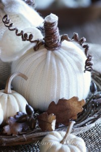 Sweater Pumpkins