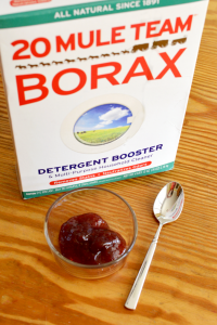 fast ant killer recipe